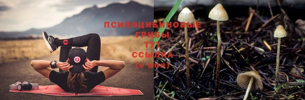 бошки Алексин