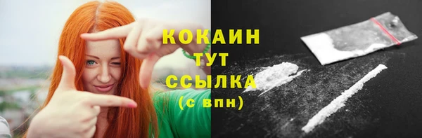 бошки Алексин