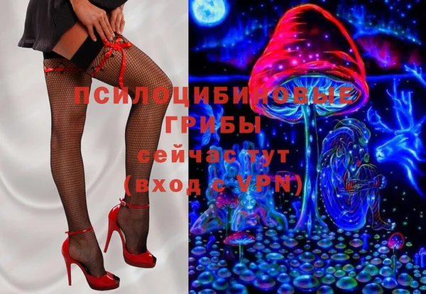 бошки Алексин