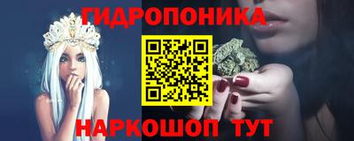 apvp Можга